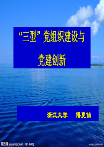 傅夏仙：三型”党组织建设与党建创新