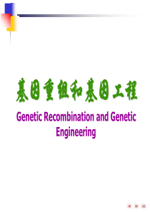 基因重组和基因工程