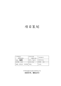 信息技术有限公司项目策划(1)