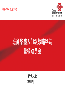 2011年入门级战略终端营销部署