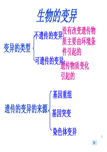 基因突变和重组