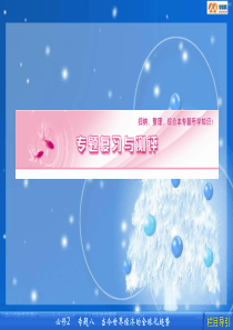 【人民版必修二】2012年高考复习专题课件 专题八 当今世界经济的全球化趋势