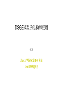 最新DSGE模型的结构和应用----北京大学国家发展研究院