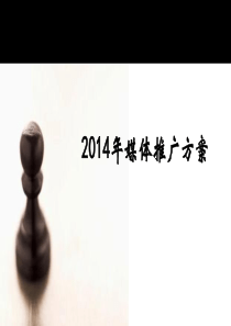 2014媒体推广方案