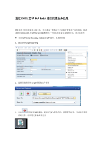通过EXCEL宏和SAP-Script进行批量业务处理