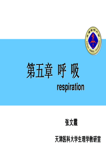 生理学呼吸系统