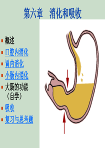 生理学第六章-消化与吸收