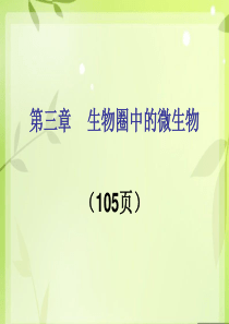 济南版七年级生物课件_病毒