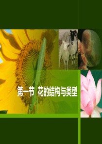 济南版八上生物第一章 绿色开花植物的一生第1节《花的结构和类型》课件(共26张PPT)