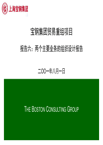 宝钢集团重组项目报告Report06-TwoCoreOrgDesign