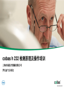 罗氏cobas-h-232检测原理-Wu