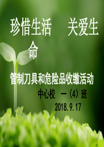 珍惜生命-管制刀具主题班会幻灯片