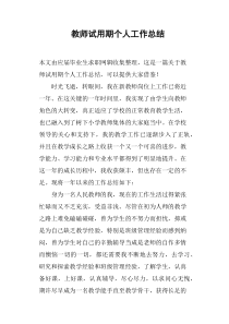 教师试用期个人工作总结