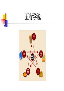 中医五行养生学说