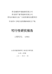 青岛市城市污水厂污泥资源化处置年处理8万吨污泥制陶粒砌块生产线项目可行性研究报告