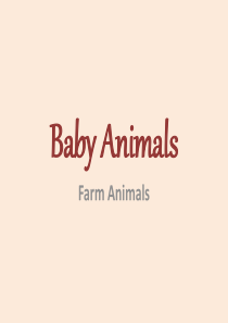 小学一年级英语-Baby-Animals