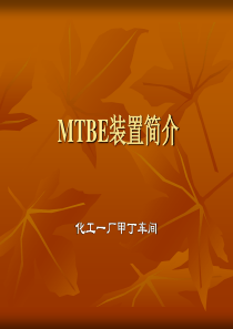 MTBE装置生产原理及工艺流程