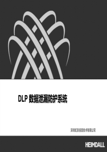 DLP产品解决方案