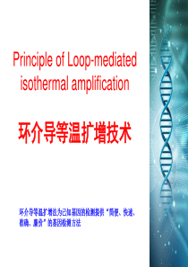 环介导等温扩增技术简介