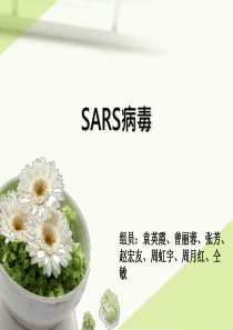 SARS病毒