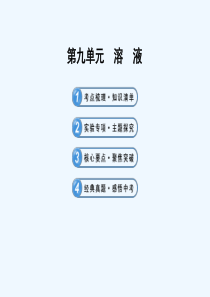 人教版中考化学专题复习第9单元《溶液》PPT课件