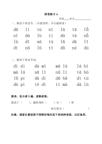 拼音练习4(dtnl)