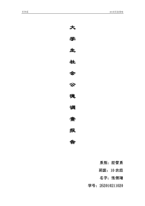 社会公德调查报告