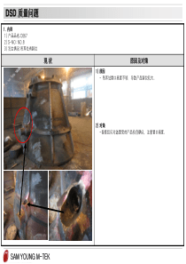 DSD 产品缺陷分析