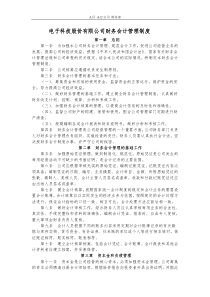 电子科技股份有限公司财务会计管理制度(WORD4页)