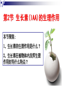 生长素的生理作用.ppt