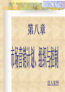 人大市场营销学课件8 市场营销计划、组织与控制