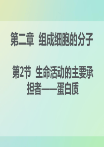 《教师参考》新课标人教版(高中生物) 必修1：2.2 生命活动的主要承担者――蛋白质同课异构课件3