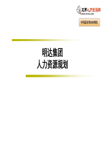 明达集团人力资源规划