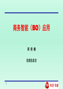 商务智能(BO)应用-案例