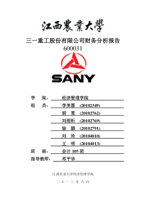 三一重工股份有限公司财务分析报告