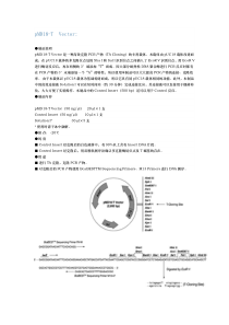 TA克隆(pMD18-T载体)