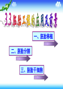 3.3胚胎工程的应用及前景-课件---(共25张PPT)