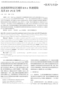 冰冻组织特定区域的RNA快速提取及其RT-PCR分析