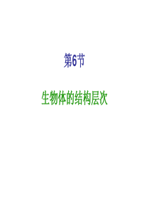 浙教版初中科学七年级上1.6生物体的结构层次教学课件04