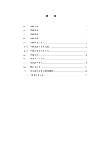 城中村改造清产核资审计工作方案