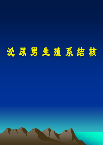 外科学重点笔记――泌尿系统结核