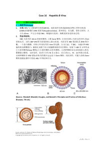 乙肝