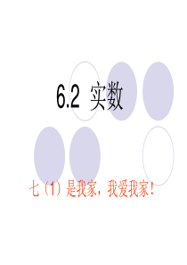 沪科版七年级数学6.2实数课件