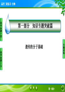 高考生物专题讲解：遗传的分子基础