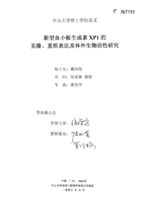 新型血小板生成素XP1的克隆、重组表达及体外生物活性研究