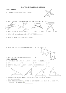 初一下学期三角形培优专题训练