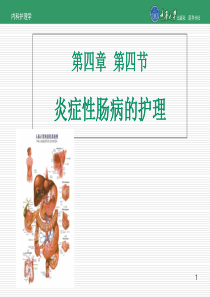 内科护理学第四章第四节炎症性肠病的护理共40页文档