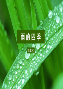 雨的四季