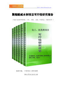 聚羧酸减水剂项目可行性研究报告(专业经典案例)