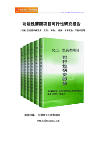 功能性薄膜项目可行性研究报告(专业经典案例)